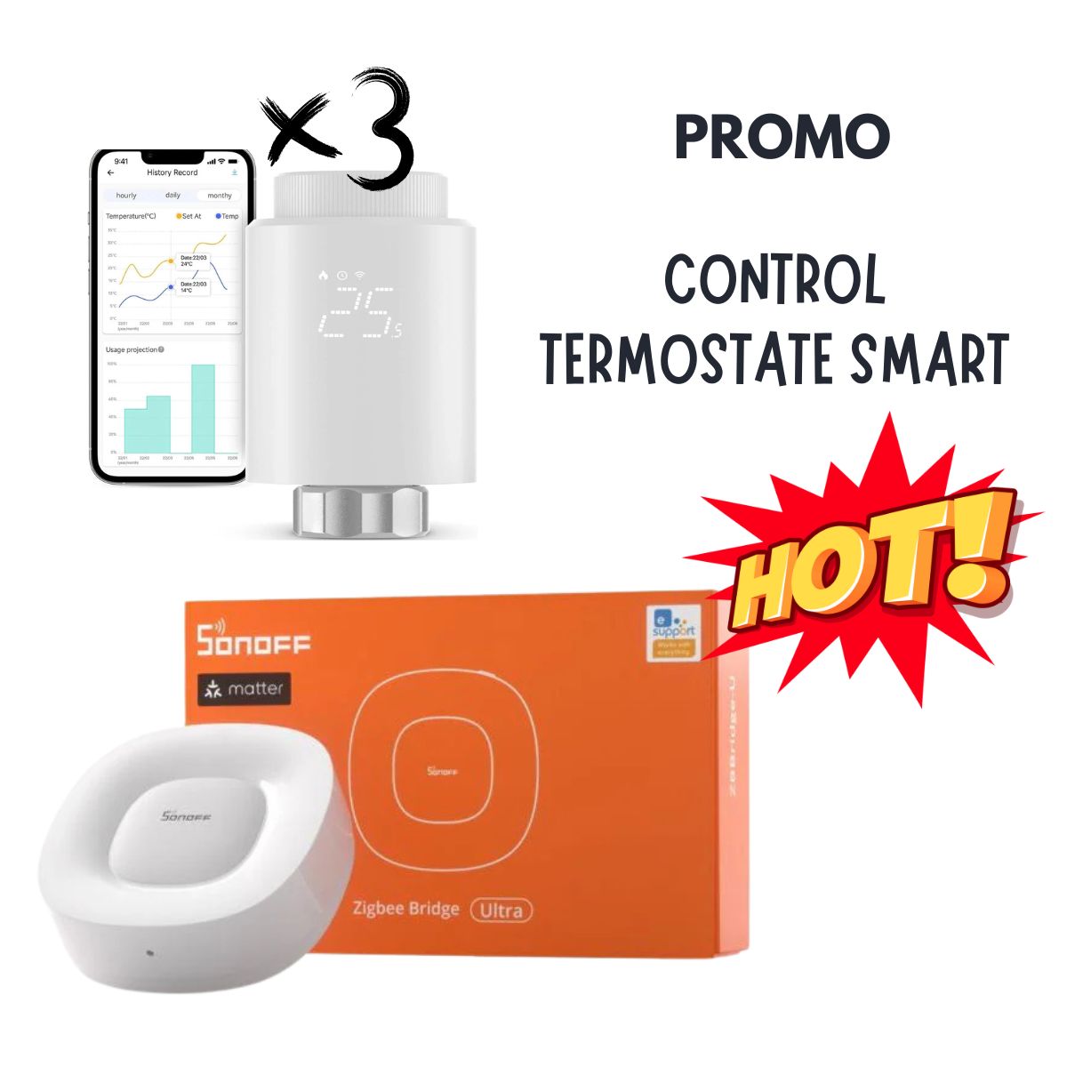 Pachet simplu pentru control termostate smart pentru incalzire apartament 2 camere, fara centrala termica - EpicHome