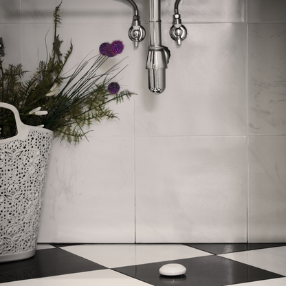 Senzor de inundatie, Shelly Flood, wireless, control aplicatie, compatibil Home Assistant - EpicHome.ro