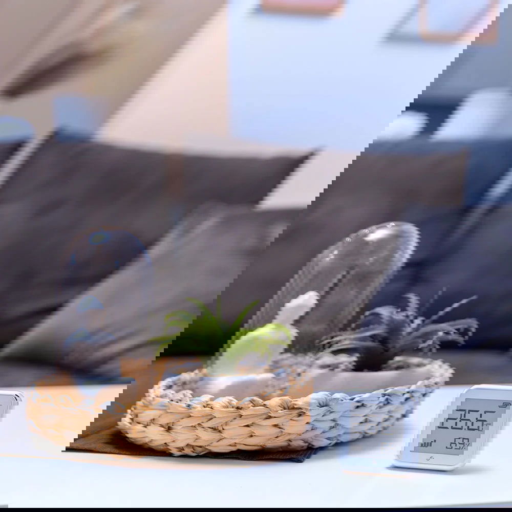 Senzor de temperatura si umiditate Shelly Plus H&T, ecran E-ink, WiFi - EpicHome.ro