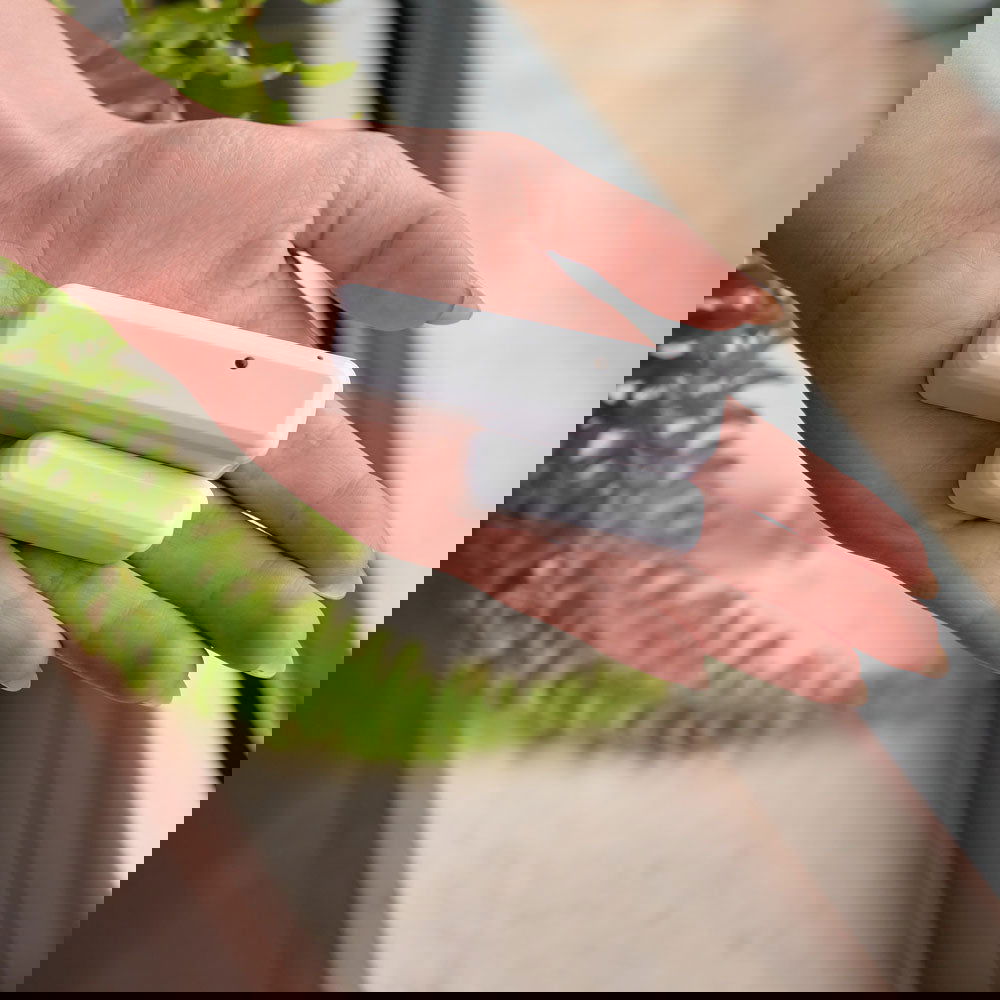 Senzor geam/usa si temperatura - Shelly DW2, control aplicatie, compatibil Home Assistant - EpicHome.ro